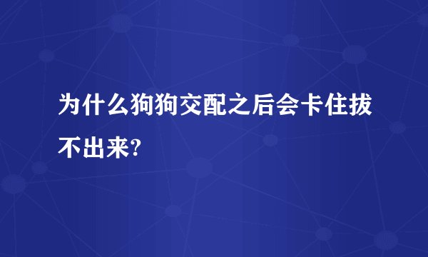 为什么狗狗交配之后会卡住拔不出来?