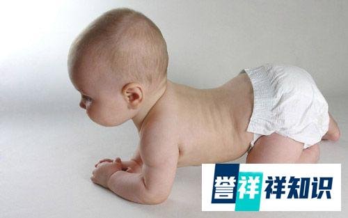 虎宝宝男孩取名大全2022款：男孩有抱负有出息的名字