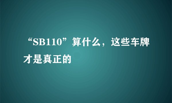 “SB110”算什么，这些车牌才是真正的