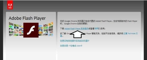 如何处理：发生 ActionScript错误