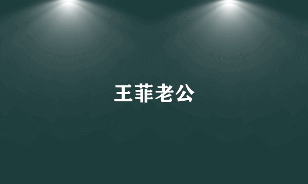 王菲老公