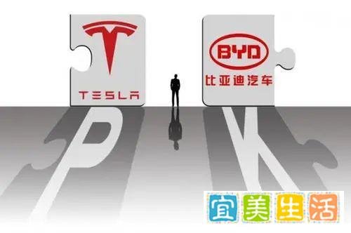 被比亚迪“踹下王座”，特斯拉股价跳水，市值一夜蒸发超2300亿！
