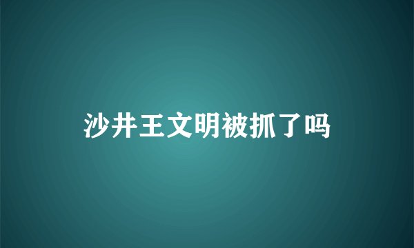 沙井王文明被抓了吗