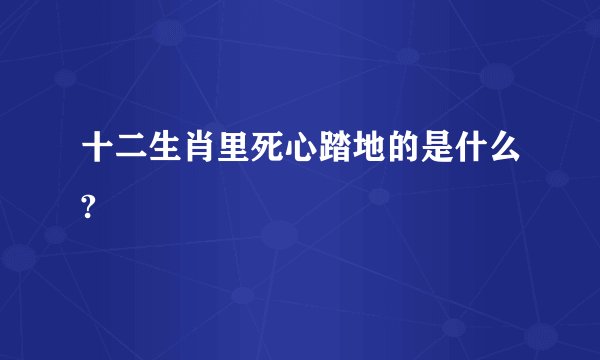 十二生肖里死心踏地的是什么?