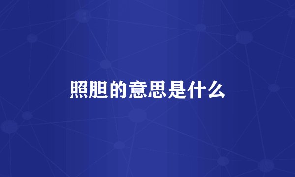 照胆的意思是什么