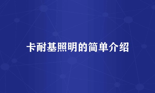 卡耐基照明的简单介绍