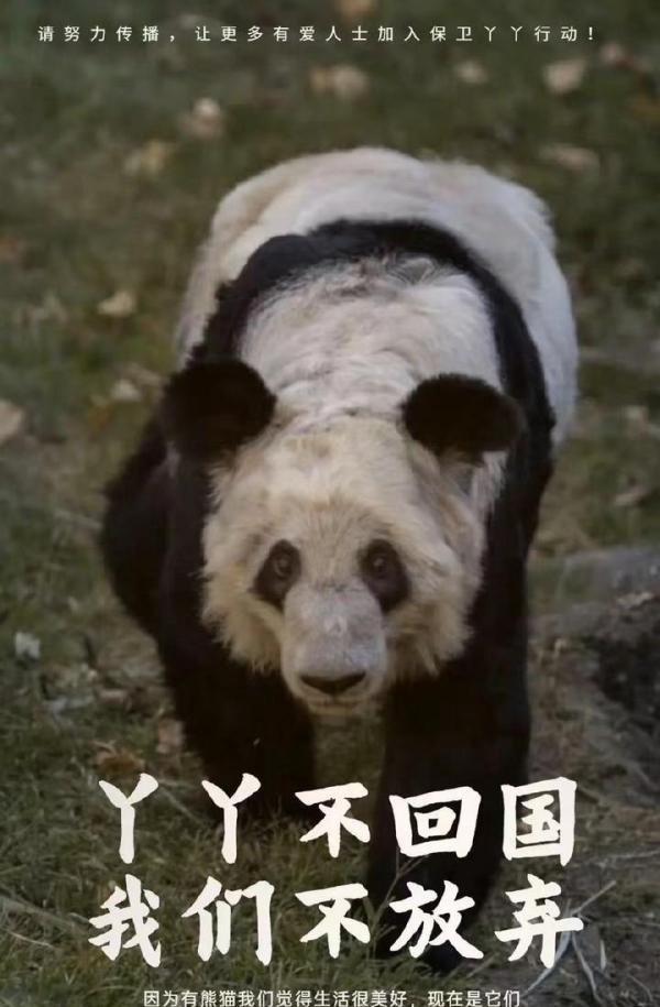 YY回国将实现吃喝自由