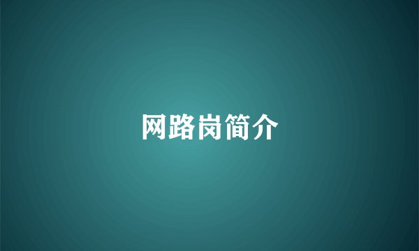 网路岗简介