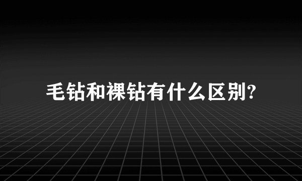 毛钻和裸钻有什么区别?
