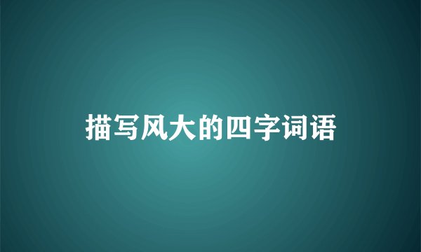 描写风大的四字词语