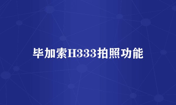 毕加索H333拍照功能