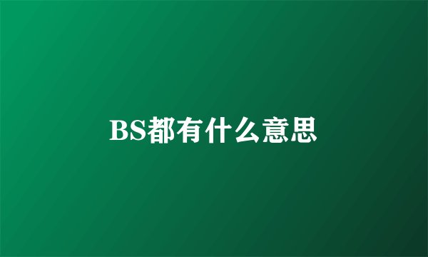 BS都有什么意思
