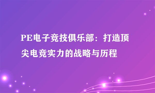 PE电子竞技俱乐部：打造顶尖电竞实力的战略与历程