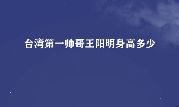 台湾第一帅哥王阳明身高多少