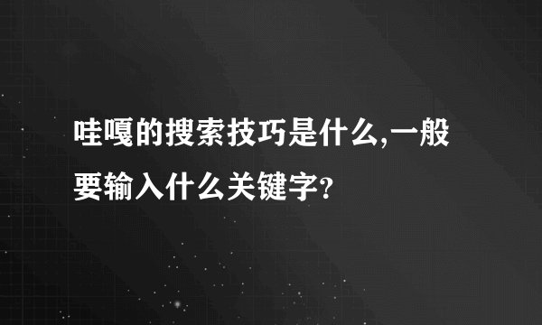 哇嘎的搜索技巧是什么,一般要输入什么关键字？