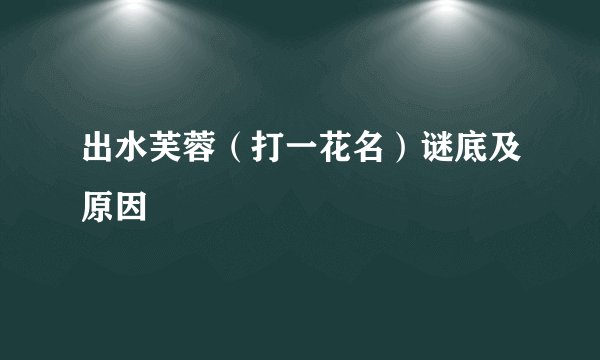 出水芙蓉（打一花名）谜底及原因