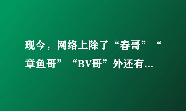 现今，网络上除了“春哥”“章鱼哥”“BV哥”外还有什么流行的“哥”啊？