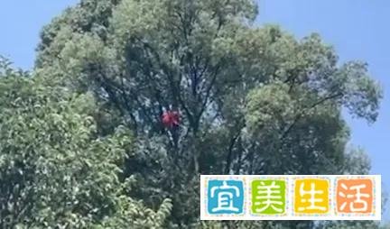 一男子为攀比花光9万多积蓄充话费与男子穿防蜂服摘马蜂窝殒命