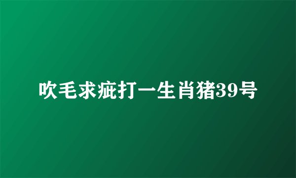 吹毛求疵打一生肖猪39号