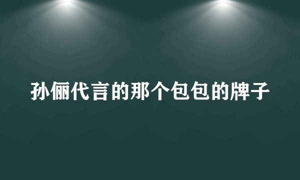 孙俪代言的那个包包的牌子