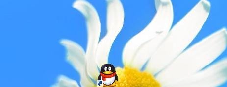 qq中转站怎么用