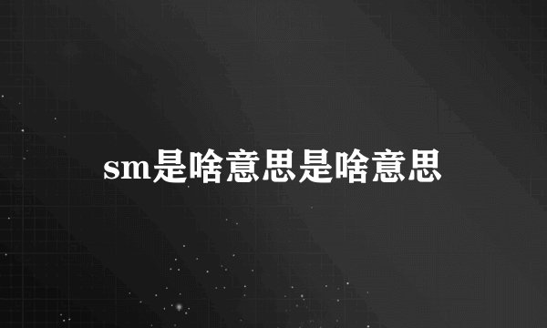 sm是啥意思是啥意思
