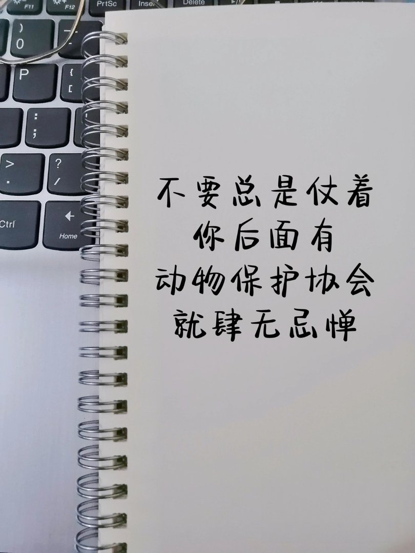 当代网友骂人可以斯文到什么程度