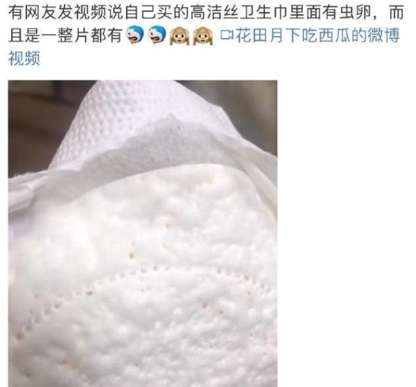 时隔半年,高洁丝的虫卵长成了虫?