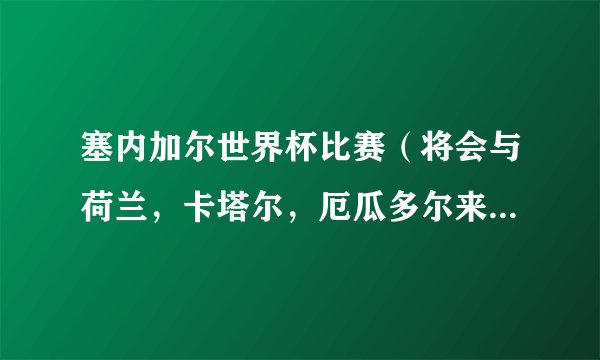 塞内加尔世界杯比赛（将会与荷兰，卡塔尔，厄瓜多尔来进行比赛）