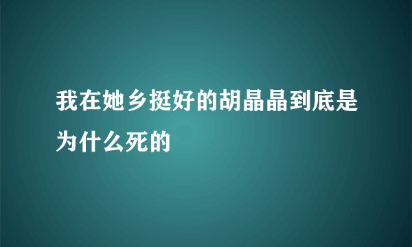 我在她乡挺好的胡晶晶到底是为什么死的