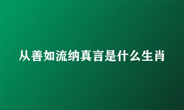 从善如流纳真言是什么生肖