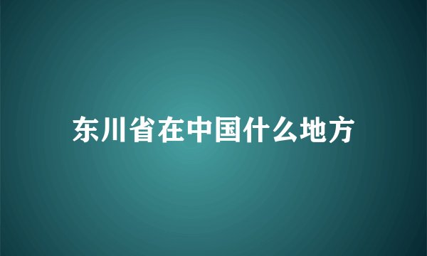 东川省在中国什么地方