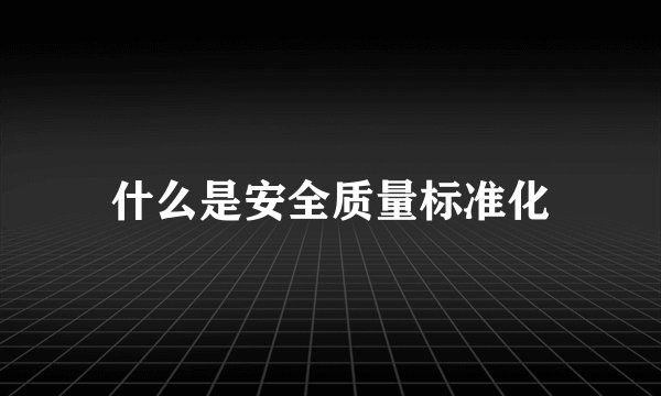 什么是安全质量标准化