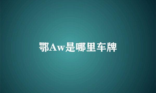 鄂Aw是哪里车牌