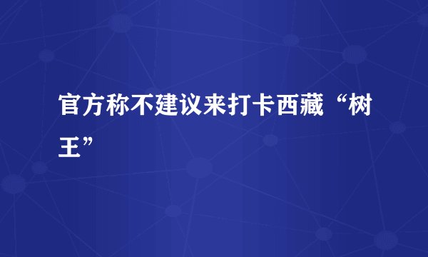 官方称不建议来打卡西藏“树王”