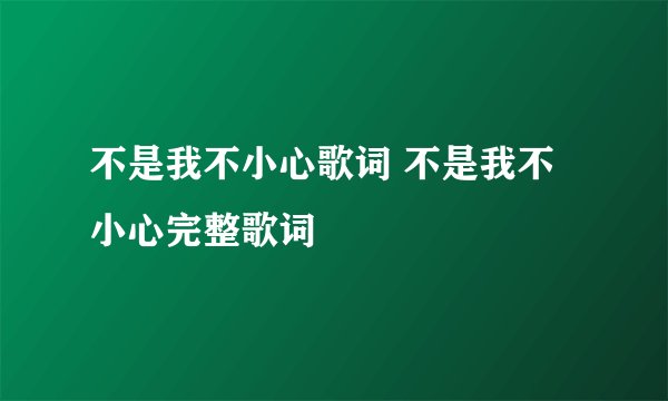 不是我不小心歌词 不是我不小心完整歌词