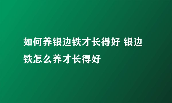如何养银边铁才长得好 银边铁怎么养才长得好