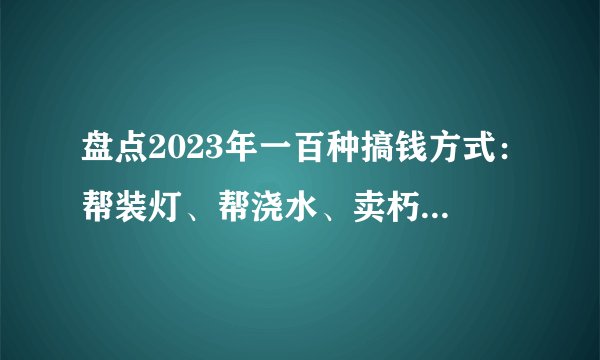 盘点2023年一百种搞钱方式：帮装灯、帮浇水、卖朽木、开搞钱课……总有一种适合你