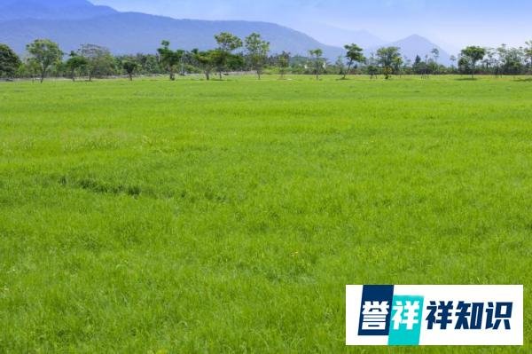 牛牪犇茻如何读?