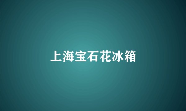 上海宝石花冰箱