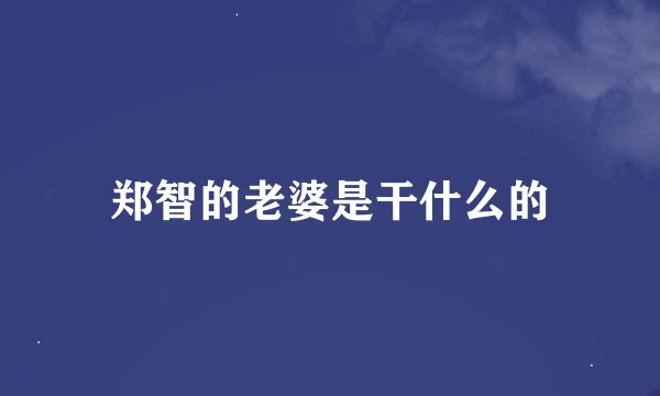 郑智的老婆是干什么的