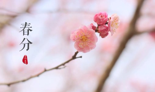 关于春分节气的古诗四句