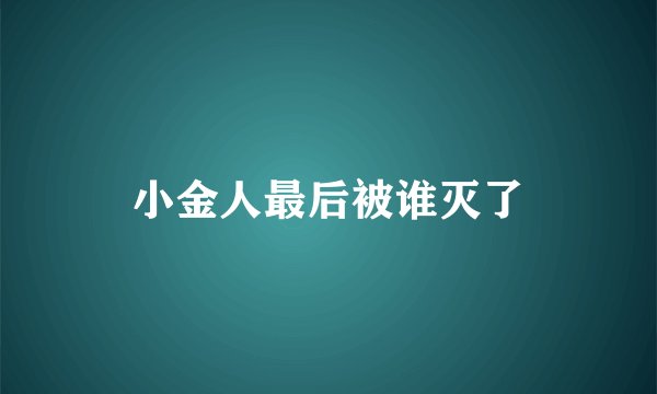 小金人最后被谁灭了