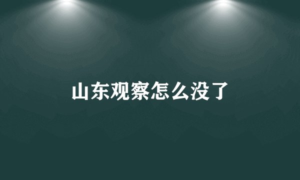山东观察怎么没了