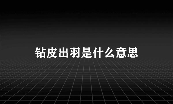 钻皮出羽是什么意思