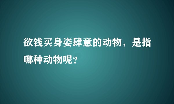 欲钱买身姿肆意的动物，是指哪种动物呢？
