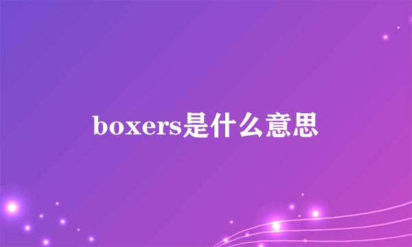 boxers是什么意思
