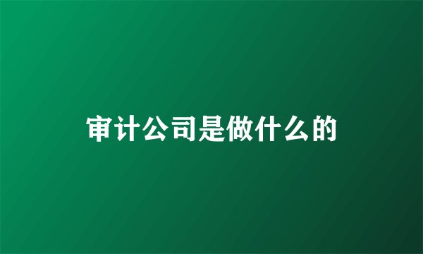 审计公司是做什么的