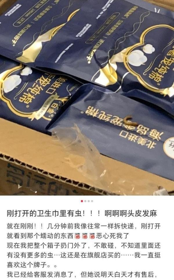 时隔半年,高洁丝的虫卵长成了虫?