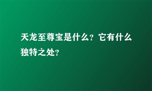 天龙至尊宝是什么？它有什么独特之处？